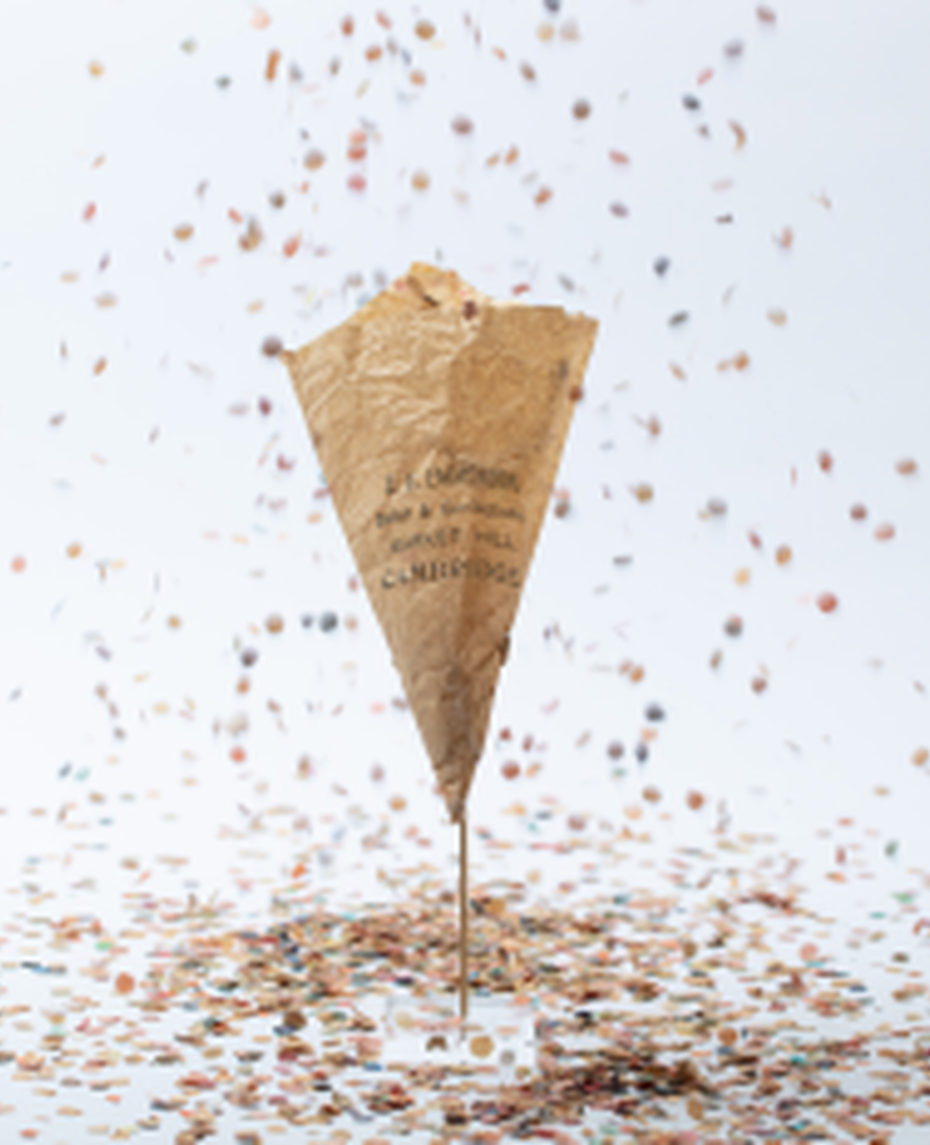 Image of Confetti used at protest against awarding degrees to women, 1897